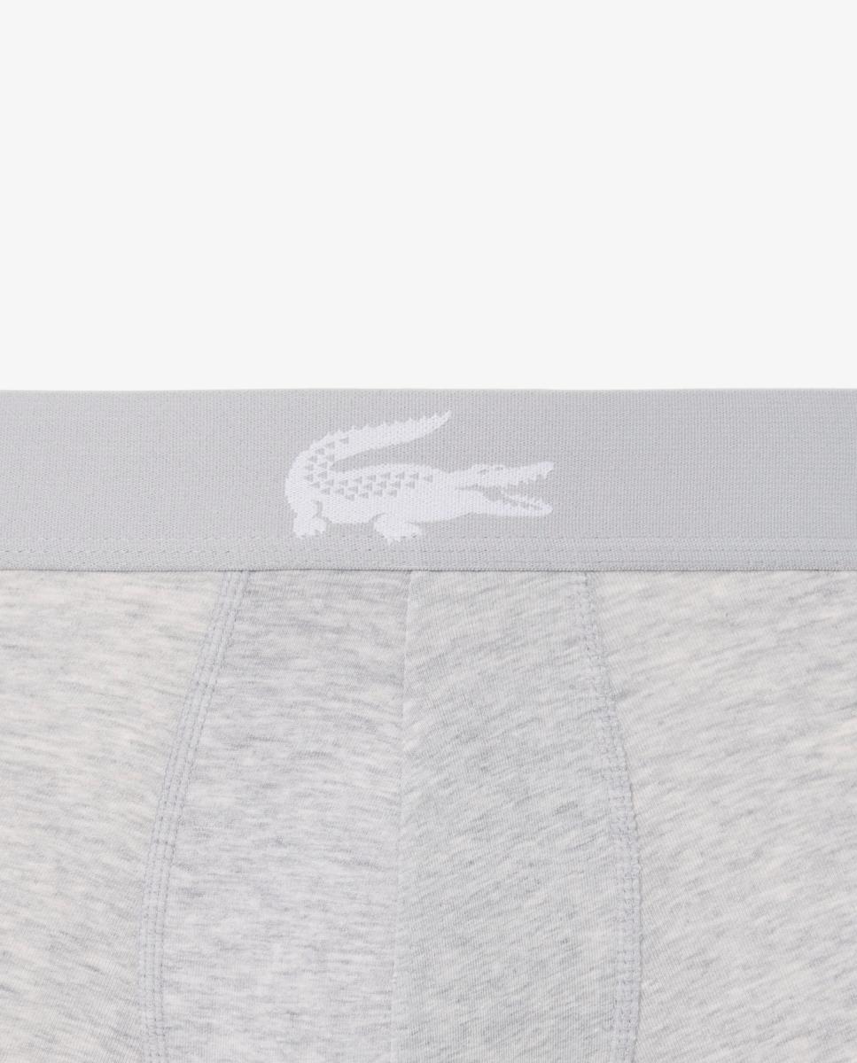 Pack de 3 calzoncillos de algodón con logo en la cintura - Lacoste - Multicolor Multicolor-7