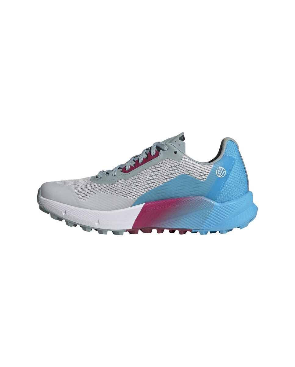 Sapatilhas de Running de Mulher Terrex Agravic Flow 2 Gtx W Cinzento-claro-4