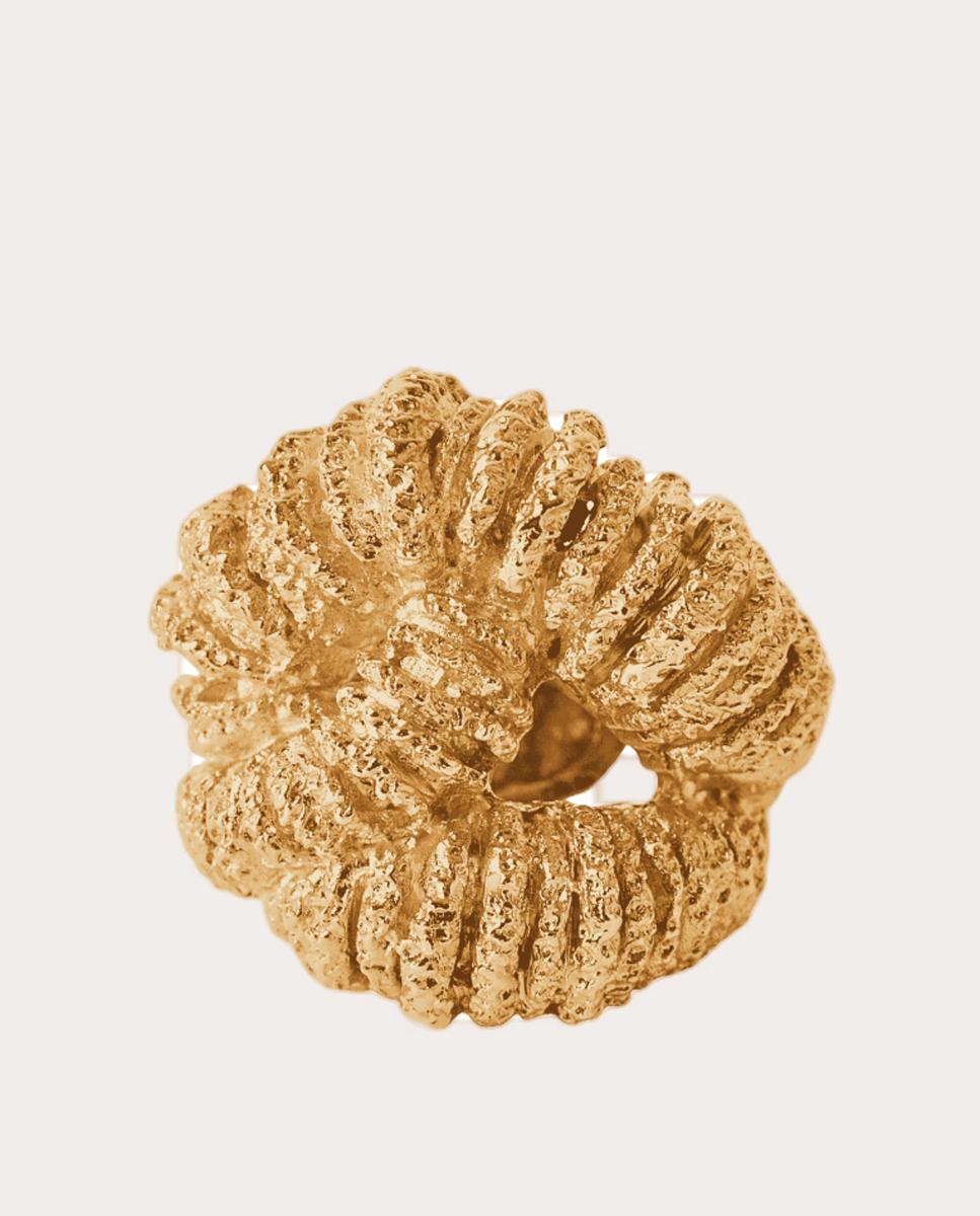 Anillo Era