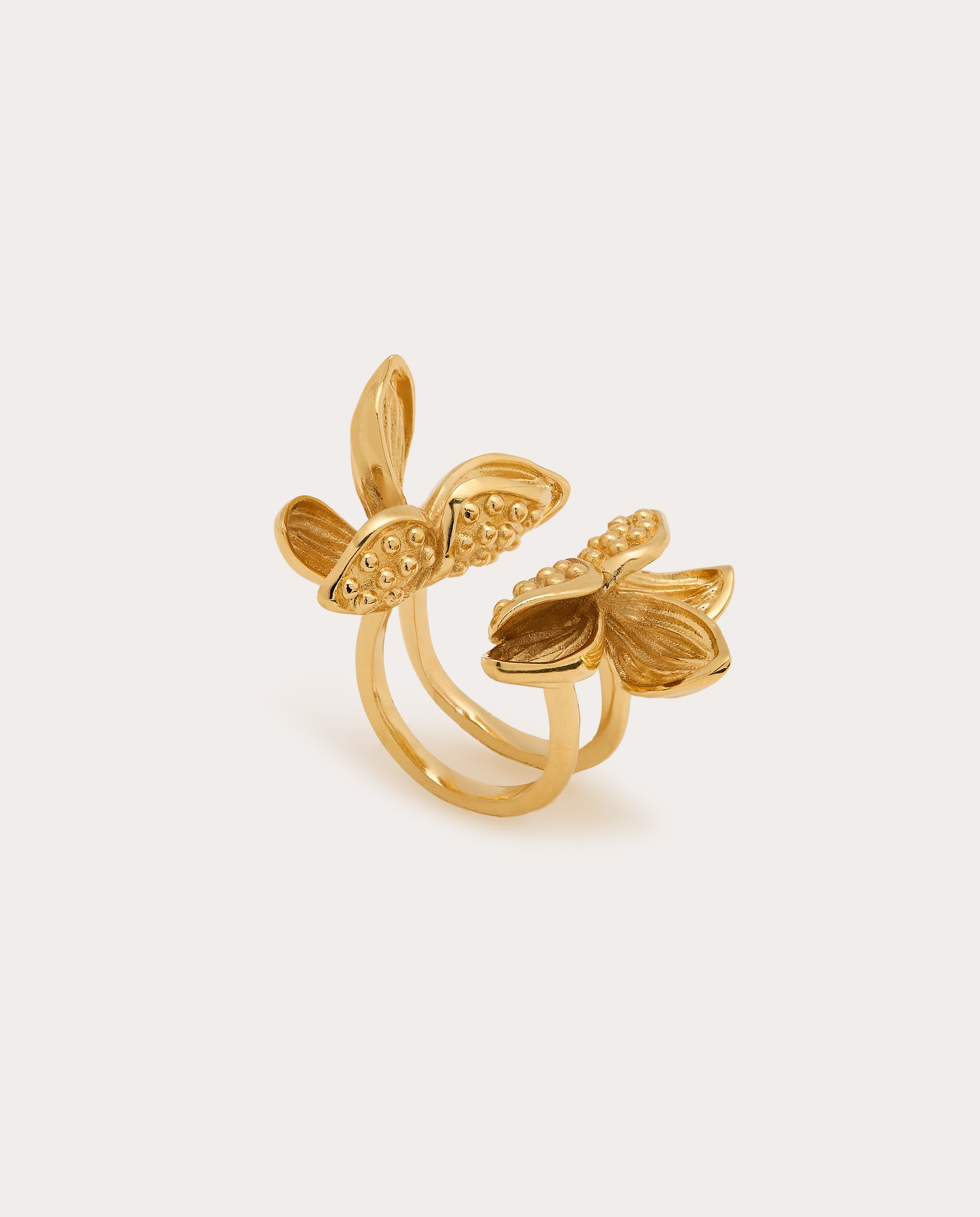 Imagen 0 de Anillo Frangipani Oro