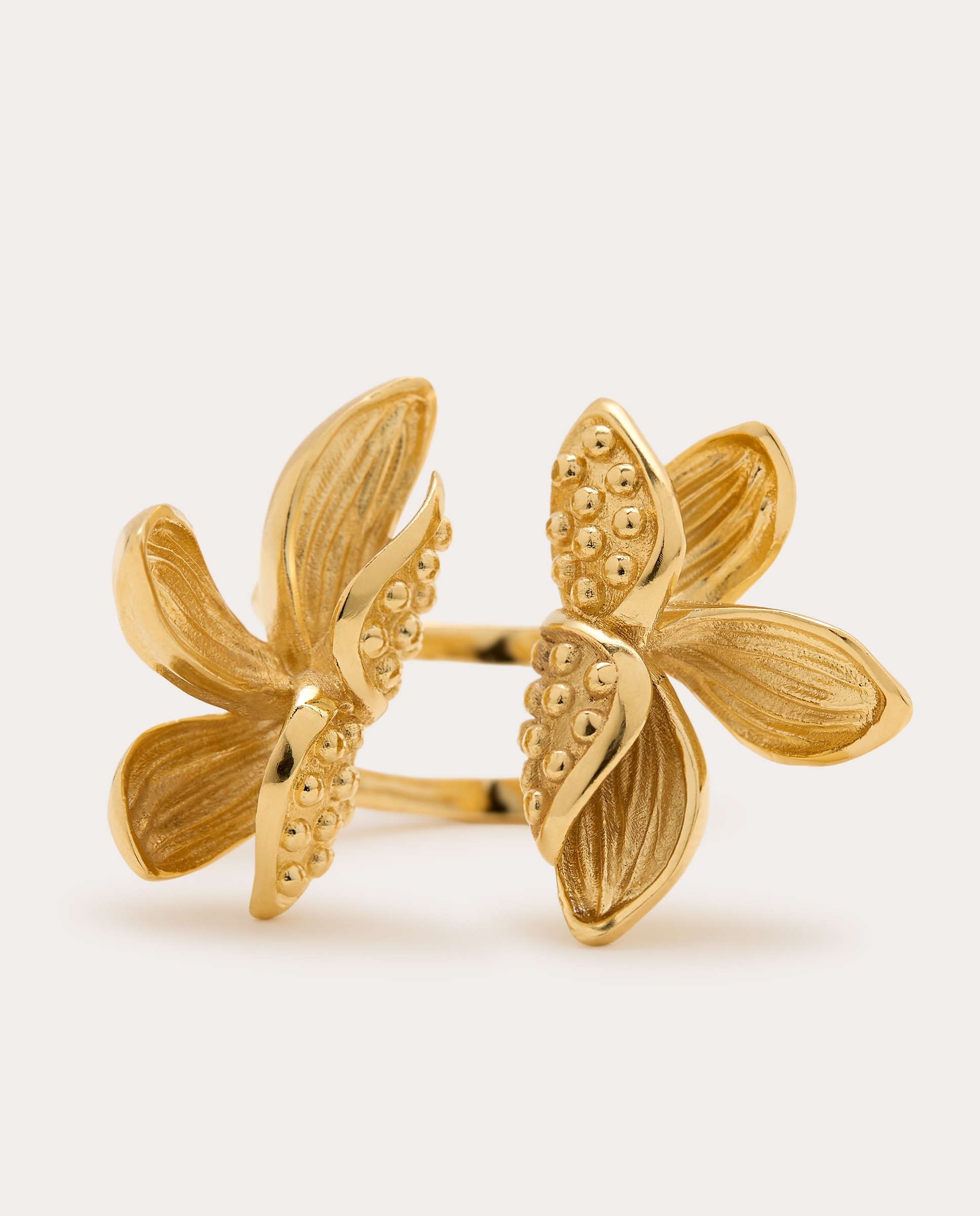 Anillo Frangipani - Oro Oro-2