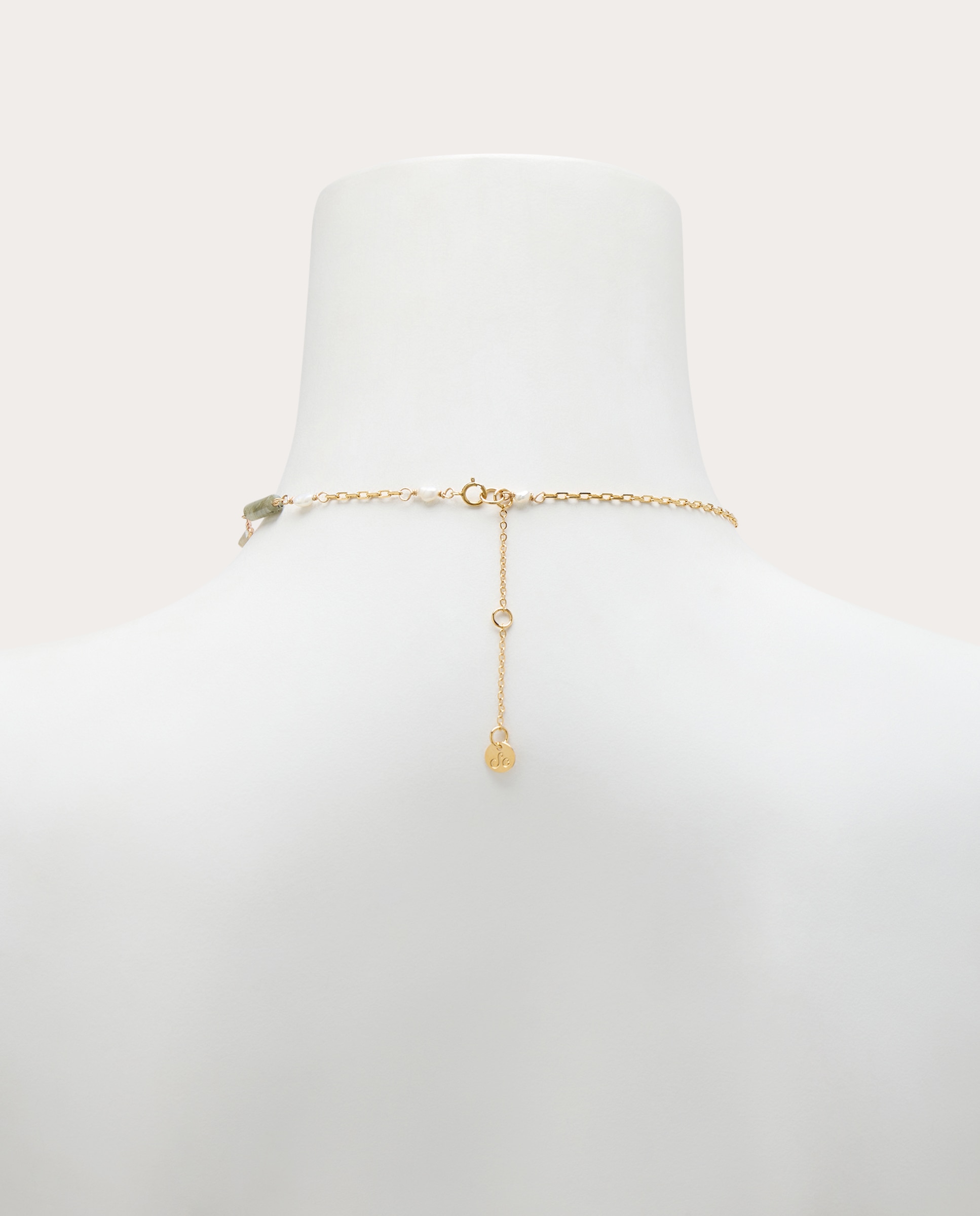 Choker botánico con piedras naturales - Oro Oro-4