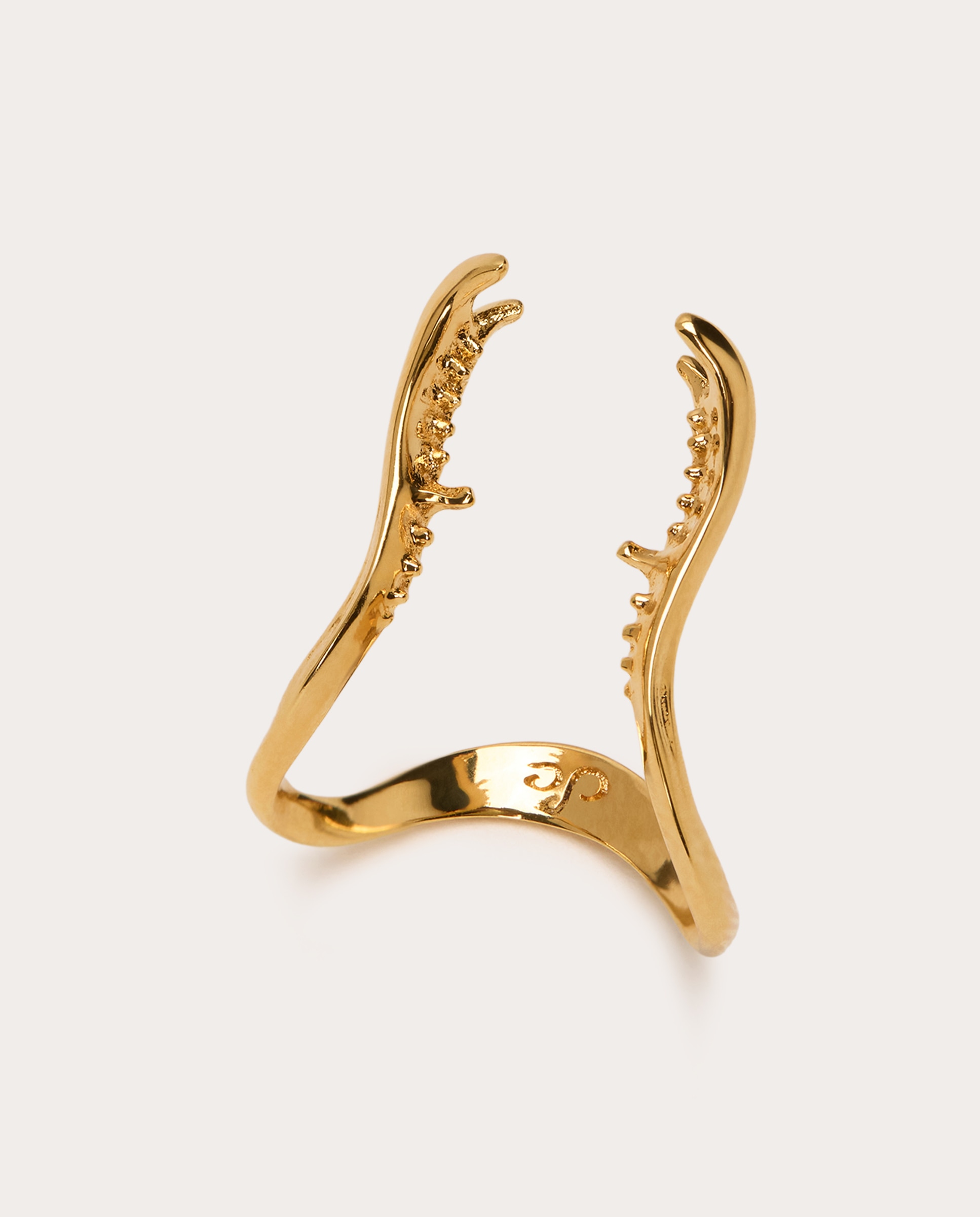 Imagen 0 de Anillo Coraje Oro