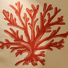 Coral