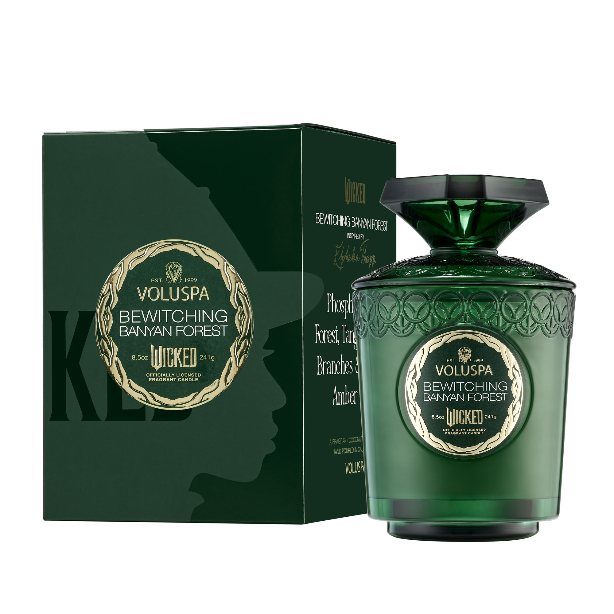 Vela de cristal com capa Elphaba Wicked 2