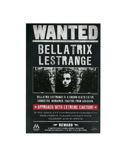 Imagem 0 de Caderno A5 Bellatrix Harry Potter Moriarte