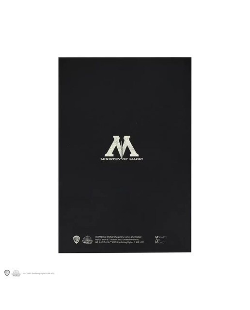 Caderno A5 Wanted Harry Potter Moriarte 2