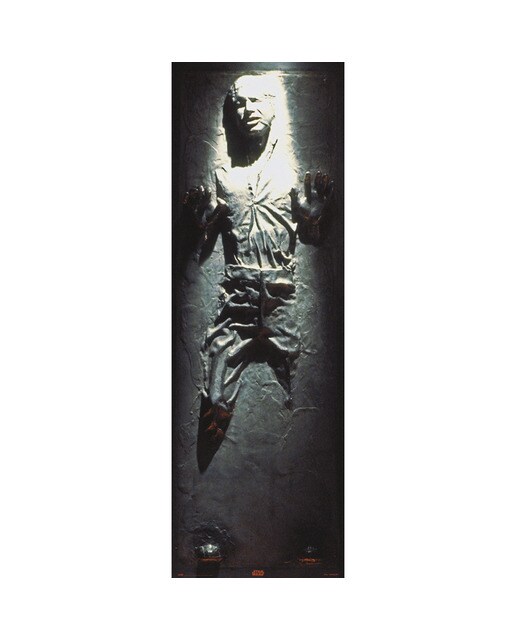 Póster de Parede Star Wars Han Solo Carbonite 1