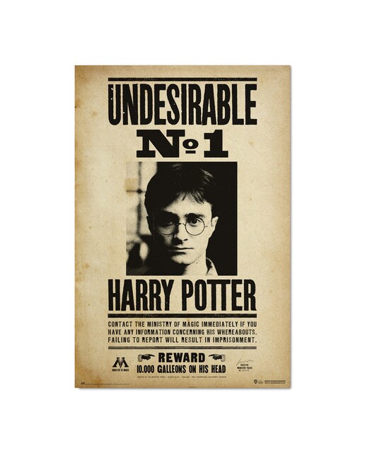 Póster Harry Potter Undesirable 1