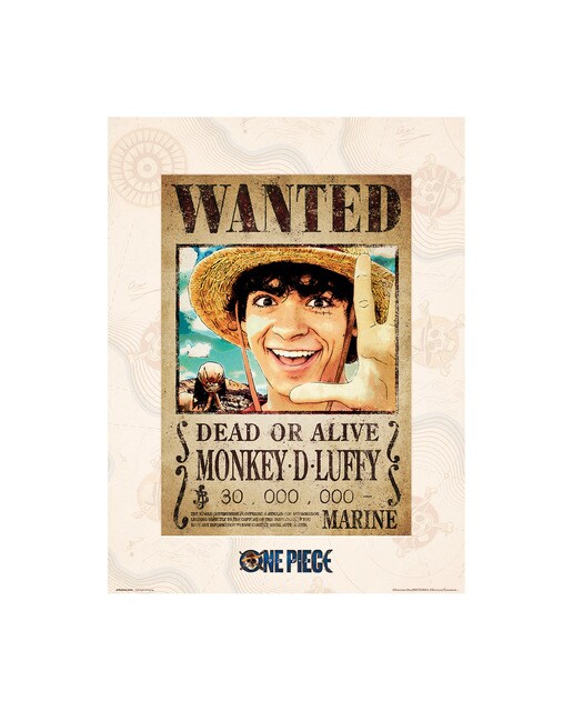 Lâmina Wanted Monkey D. Luffy One Piece 1