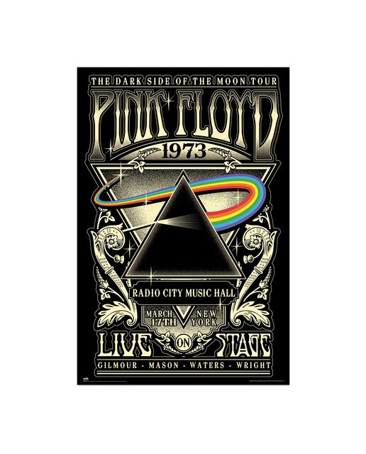 Póster Dark Side Of The Moon Musica Pink Floed Erik 1