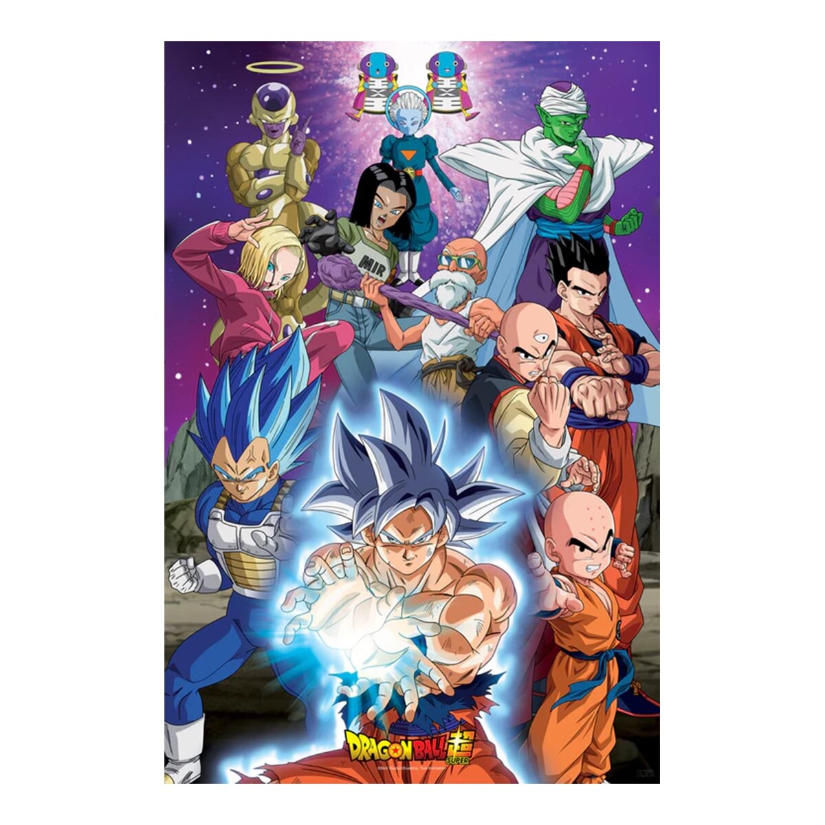Erik - Póster Dragon Ball Super Univ7 Dragon Ball Super Universo 7 Erik.