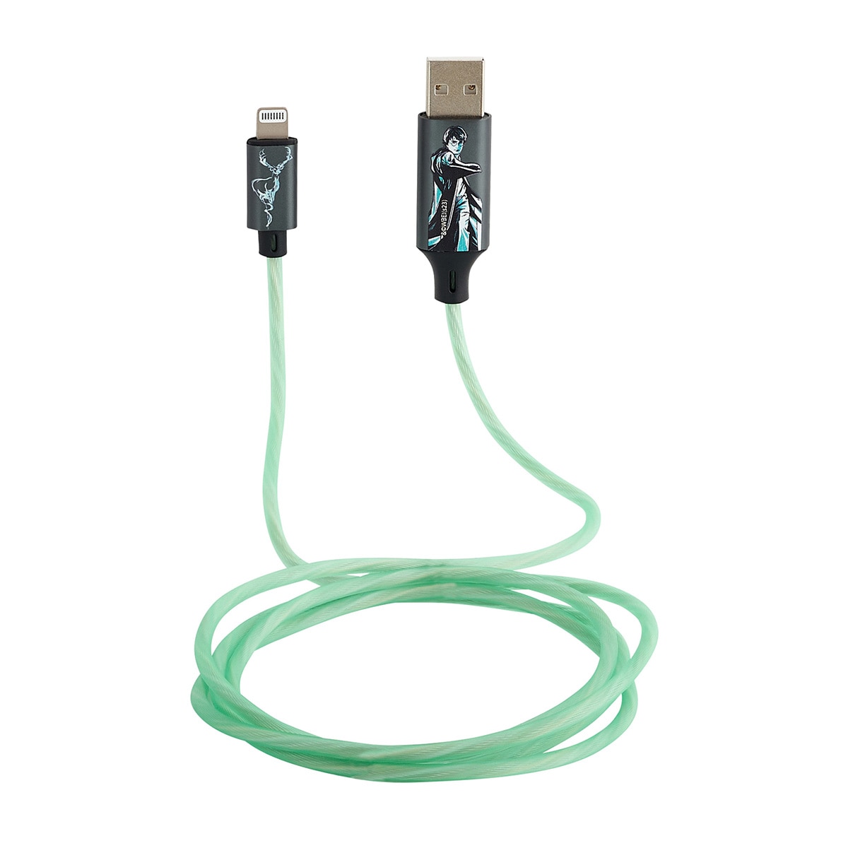Carregador USB-C Harry Potter 1