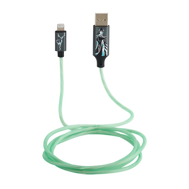 Imagem 0 de Carregador USB-C Harry Potter