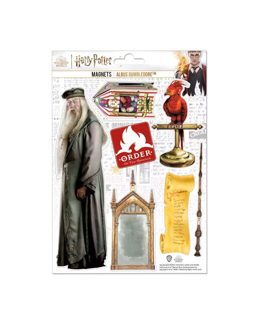 Conjunto de Ímanes Dumbledore Harry Potter 1