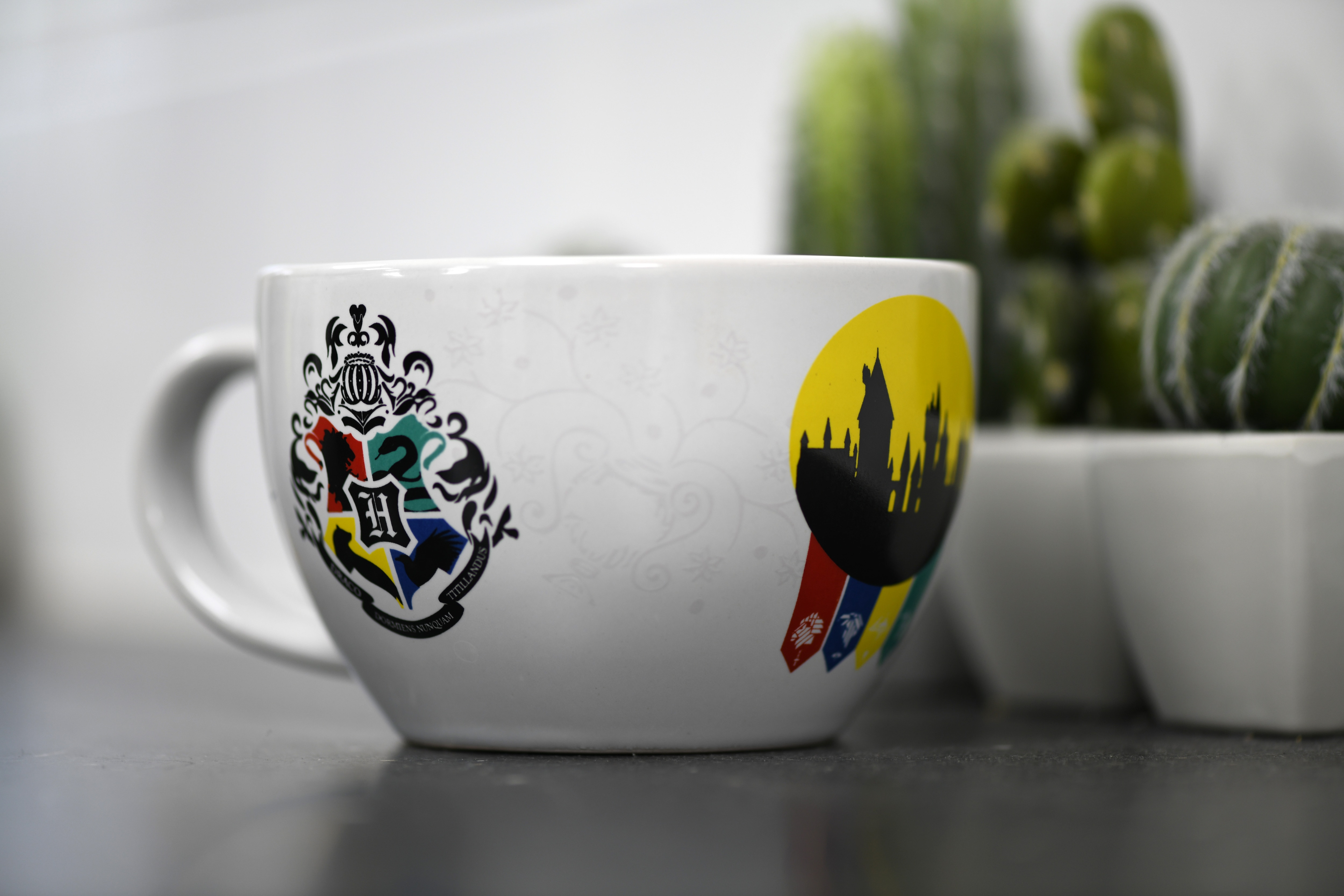Chávena Harry Potter Hogwarts 2
