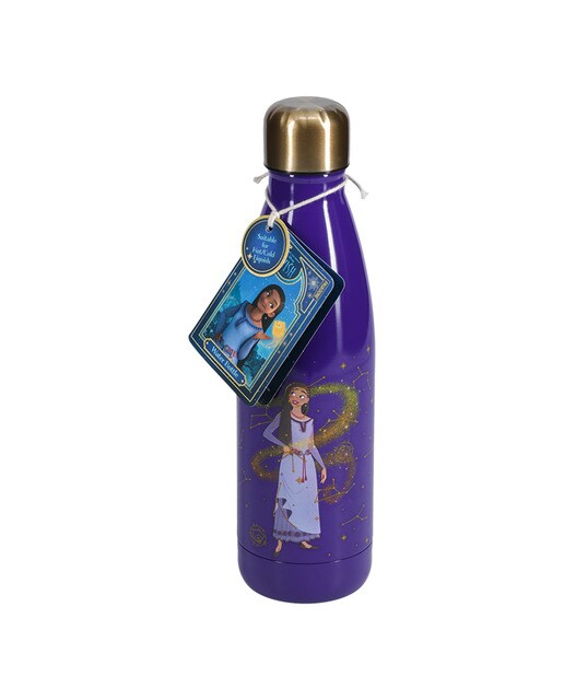 Garrafa de Metal Asha Disney 2