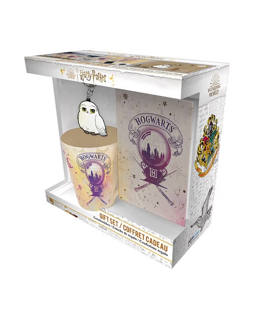 Pack de Presente Premium Hedwig Harry Potter 1