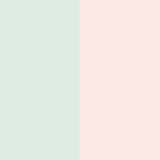 Menta