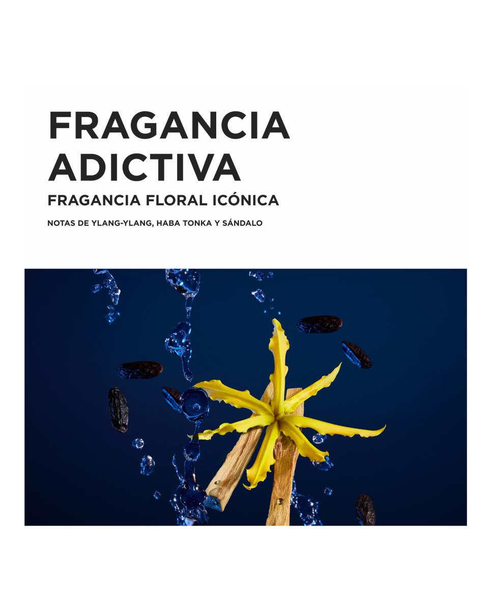 Imagen 8 de Cofre Nutritive con Champú Bain Satin Riche, Acondicionador Lait Vital y Nectar Thermique Kérastase