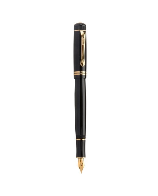 Pluma Dia Resina Kaweco Negra y Dorada 1