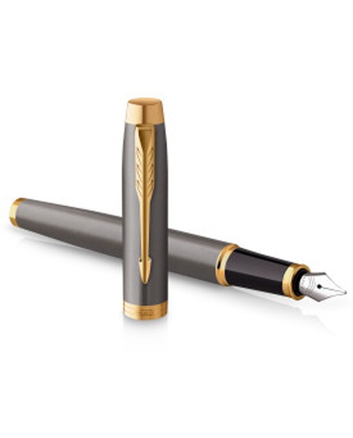 Caneta de Aparo IM Parker grey core ponta fina Cinza / Dourado-1