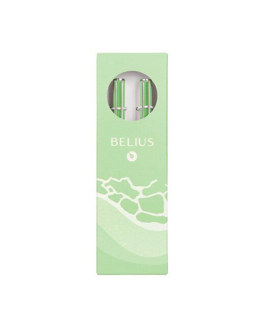 Conjunto de esferográfica e caneta rollerball em caixa de design Endless Summer Belius verde e prateado Verde-8
