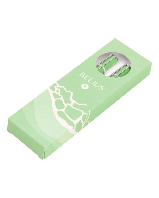 Conjunto de esferográfica e caneta rollerball em caixa de design Endless Summer Belius verde e prateado Verde-10