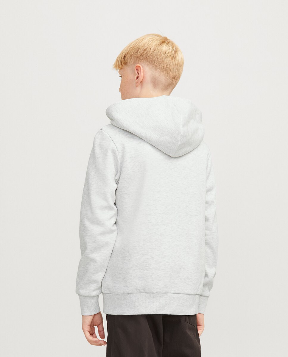 Sweatshirt com capuz Cinzento-claro-2
