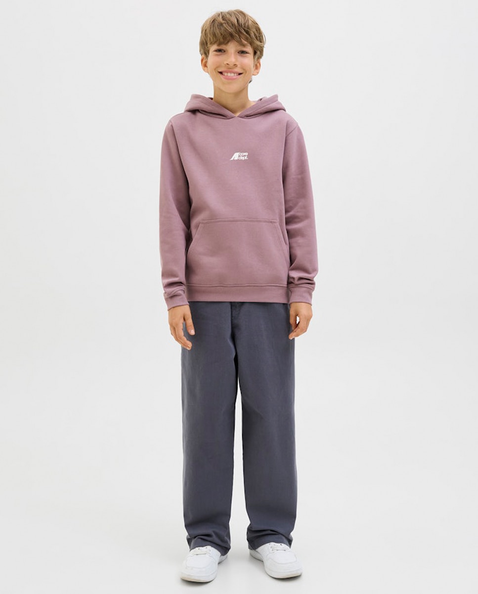 Sweatshirt com Capuz e Backprint Rosa-4