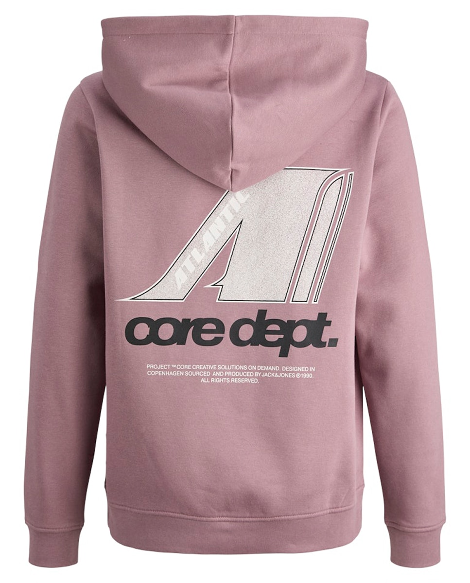 Sweatshirt com Capuz e Backprint Rosa-8