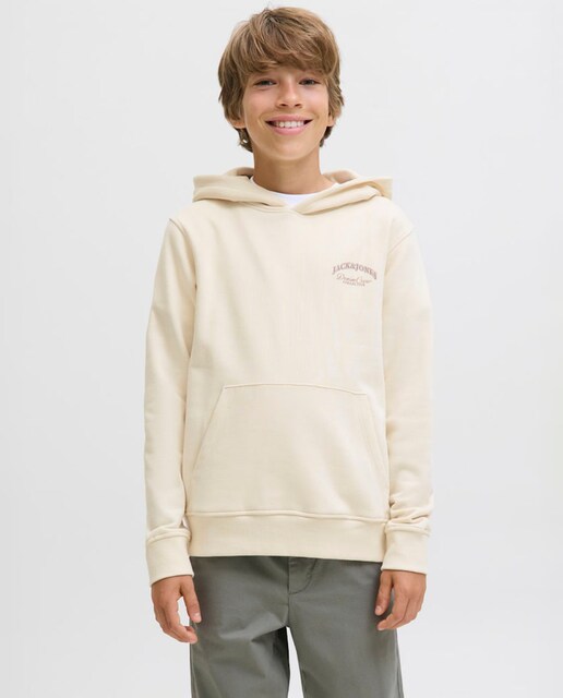 Imagem 0 de Sweatshirt com Capuz com Back Print