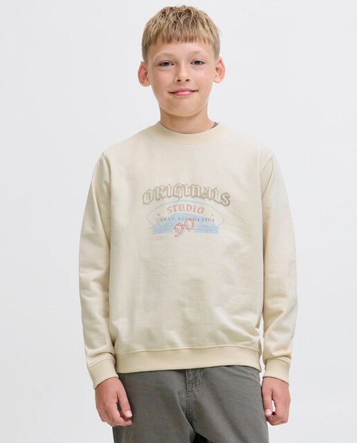 Imagen 0 de Sudadera de niño sin capucha con print frontal