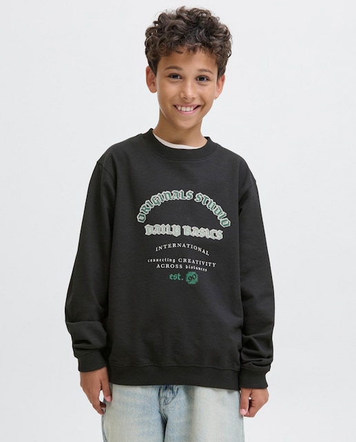 Imagen 0 de Sudadera de niño sin capucha con print frontal