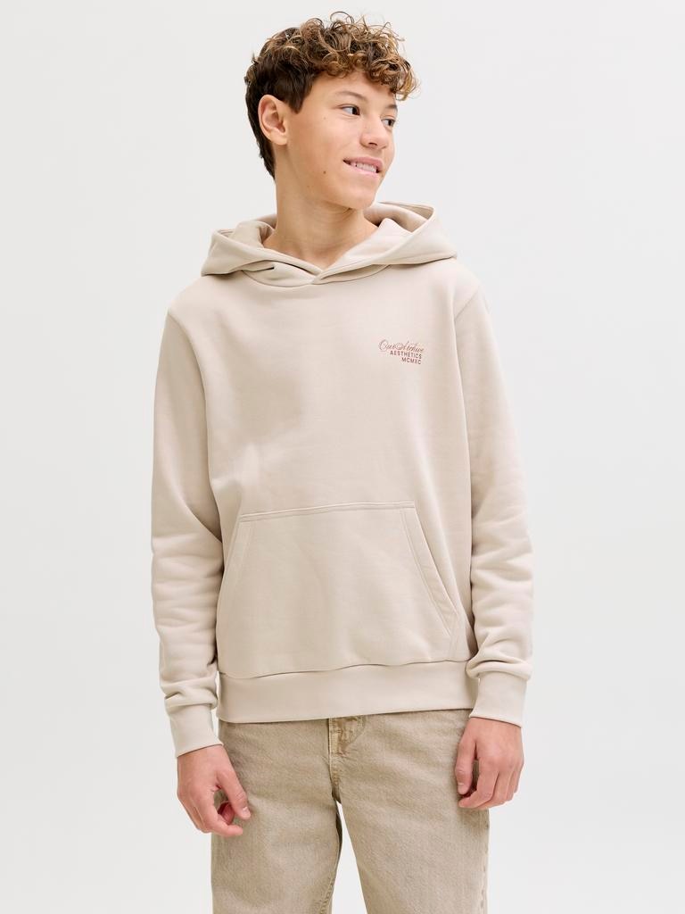 Imagem 0 de Sweatshirt com Capuz e Back Print