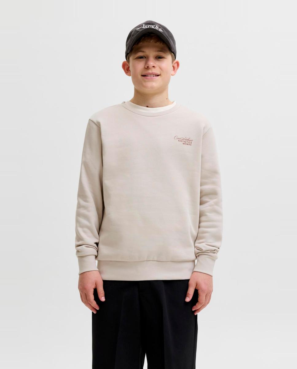 Imagem 0 de Sweatshirt de Gola Redonda com Back Print