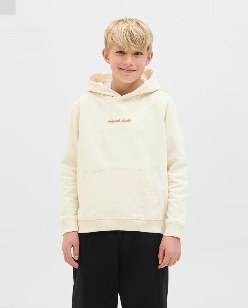 Imagem 0 de Sweatshirt com capuz e logótipo à frente