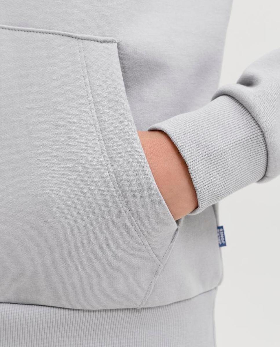 Sudadera de niño en negro con capucha - Jack & Jones - Gris claro Gris claro-5