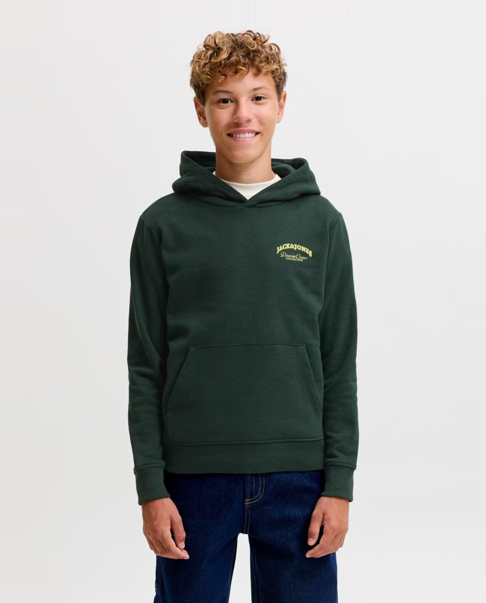 Imagem 0 de Sweatshirt com Capuz com Back Print