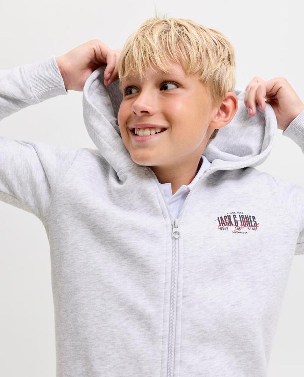 Sweatshirt com Fecho de Correr e Capuz Cinzento-claro-3
