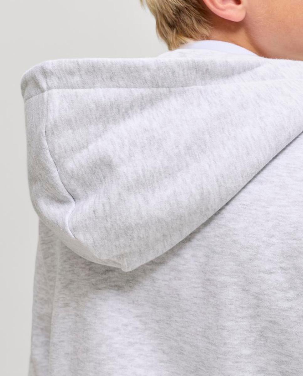 Sweatshirt com Fecho de Correr e Capuz Cinzento-claro-4