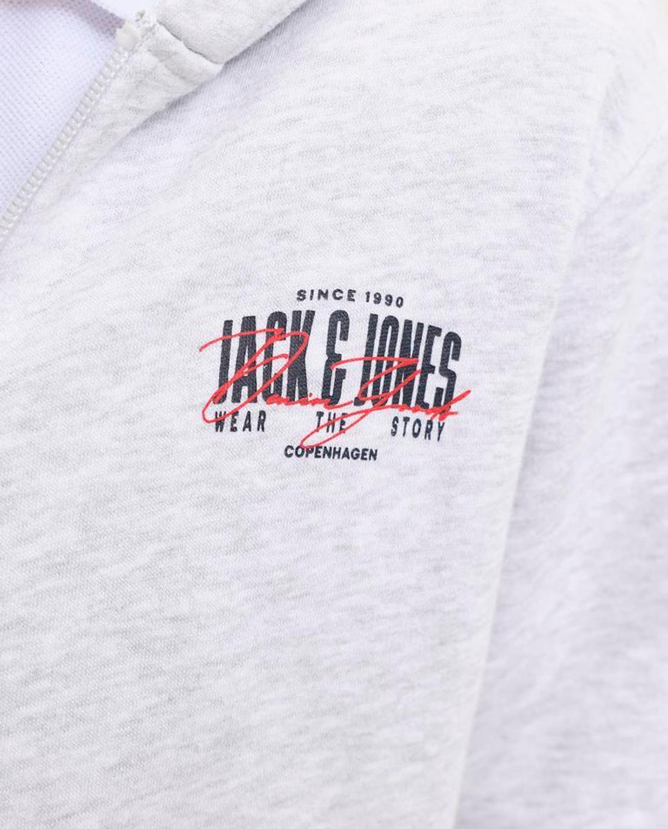 Sweatshirt com Fecho de Correr e Capuz Cinzento-claro-5