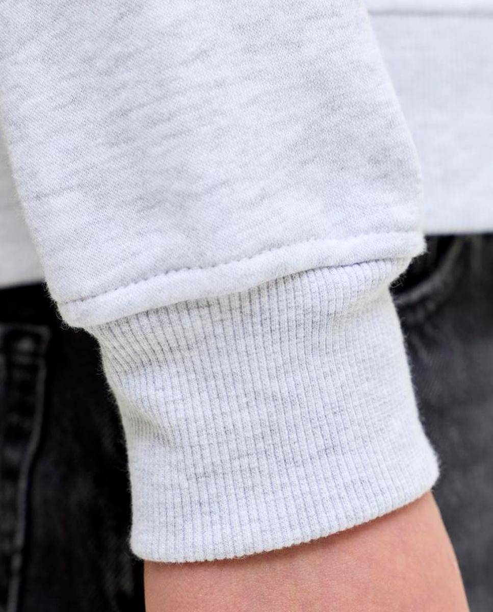 Sweatshirt com Capuz e Estampado à Frente Jack & Jones Cinzento-claro-5