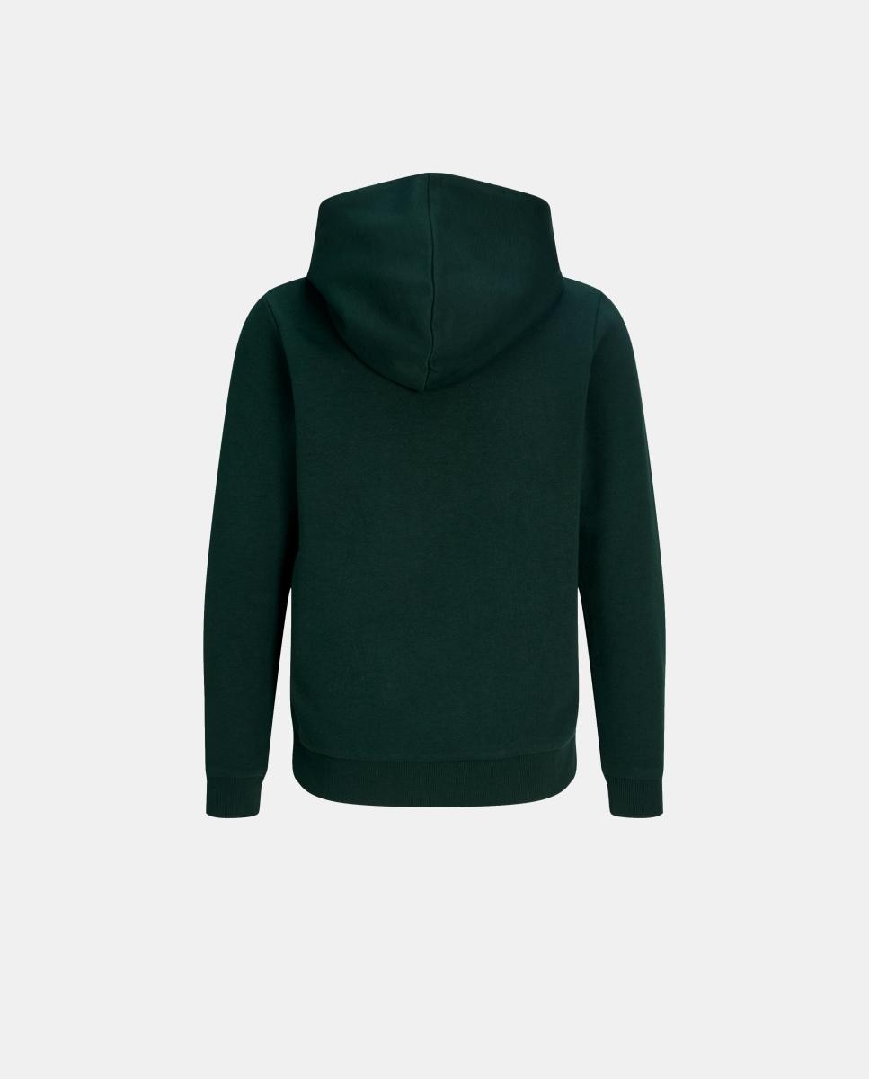 Sudadera de niño con capucha y print frontal - Jack & Jones - Verde oscuro Verde oscuro-3
