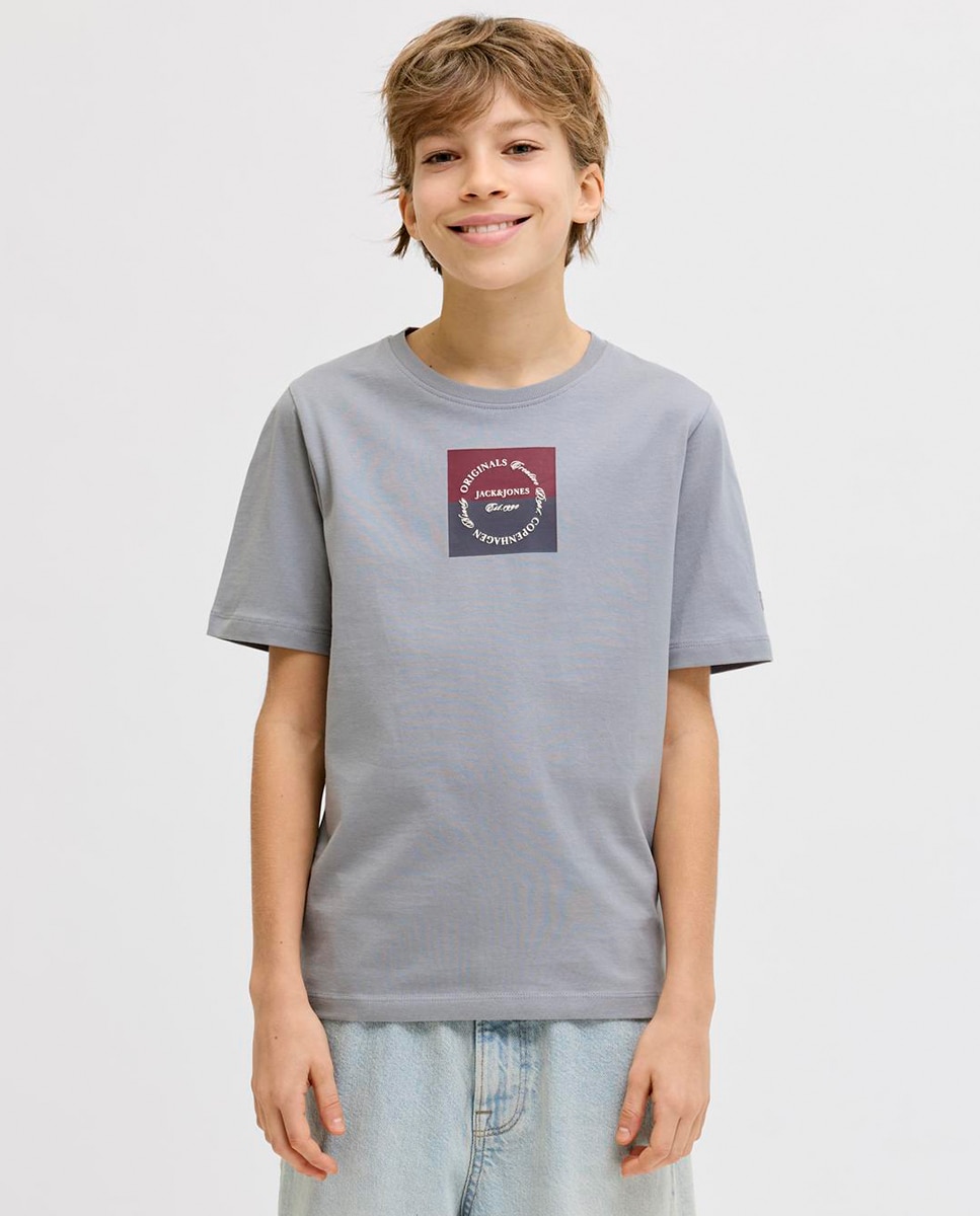 T-shirt de Manga Curta com Estampado à Frente Jack & Jones Cinzento-1