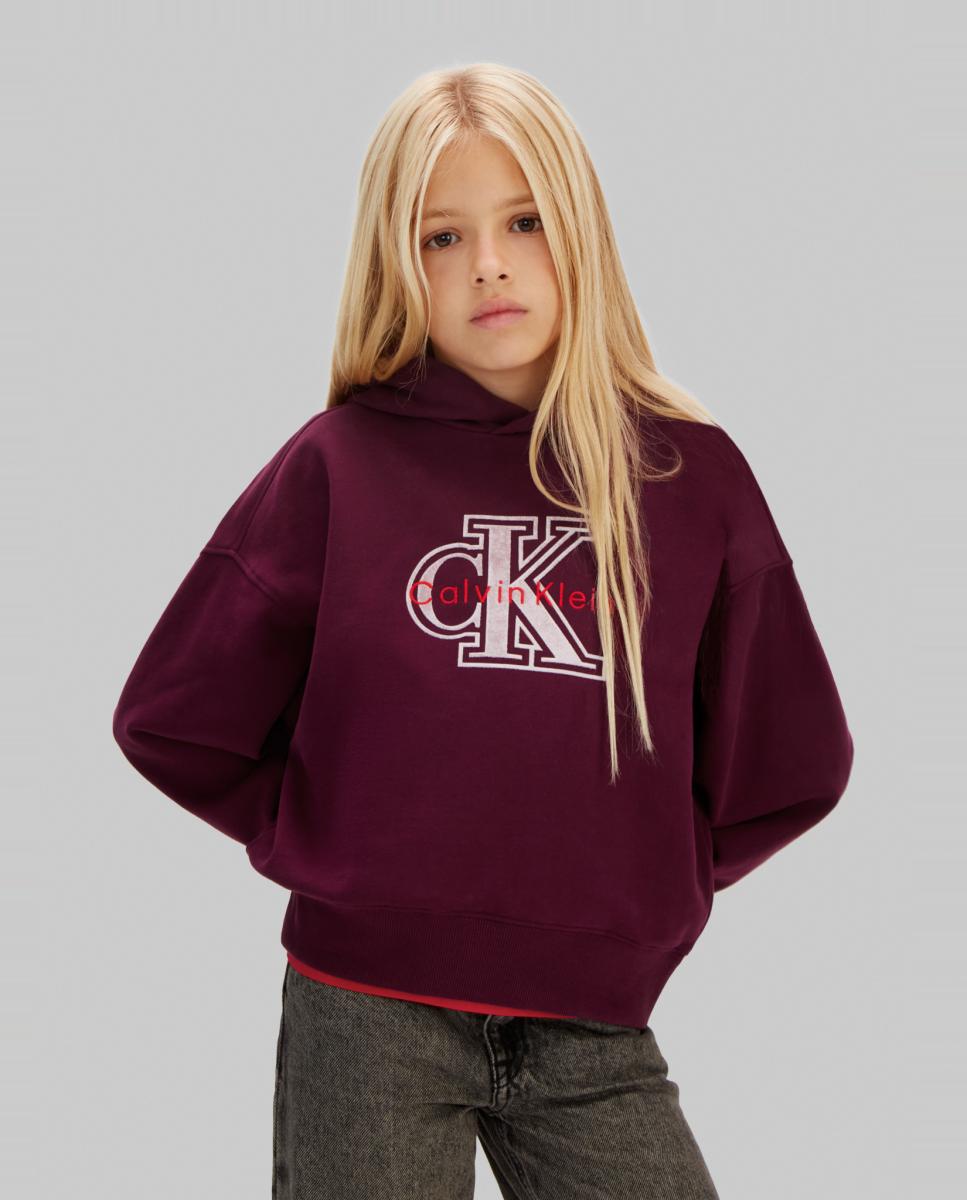 Imagem 0 de Sweatshirt com capuz