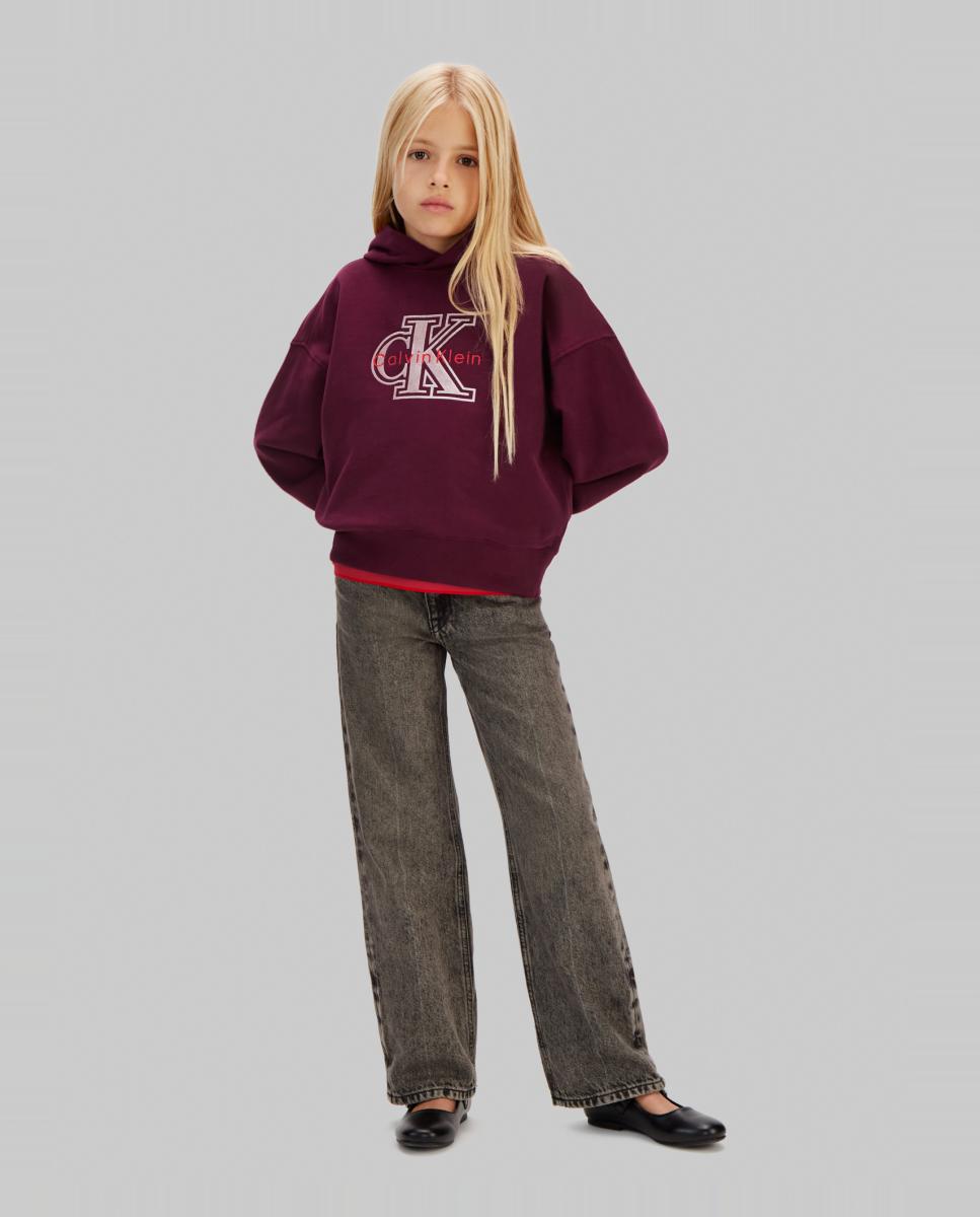 Sweatshirt com capuz Roxo-3