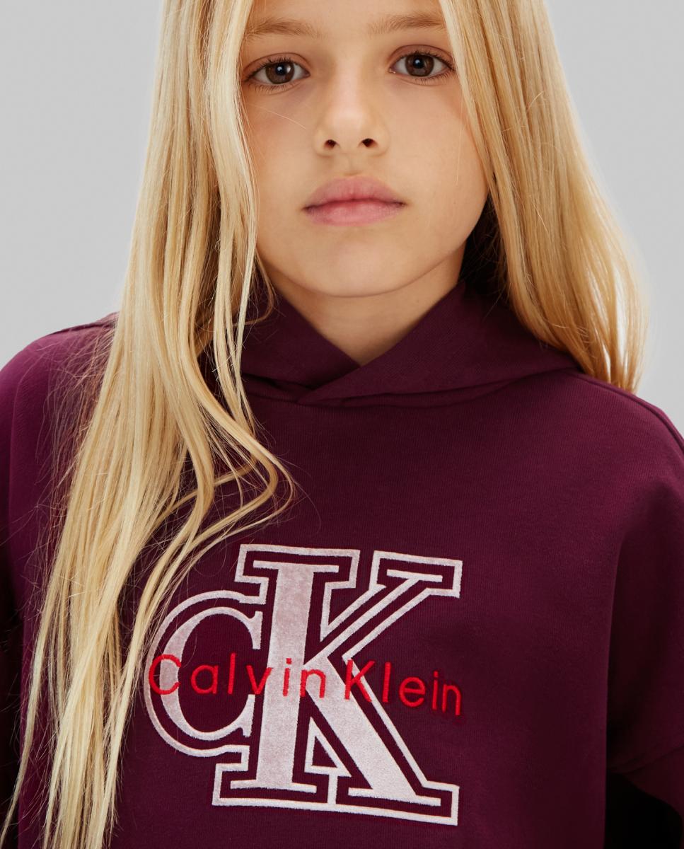 Sweatshirt com capuz Roxo-4