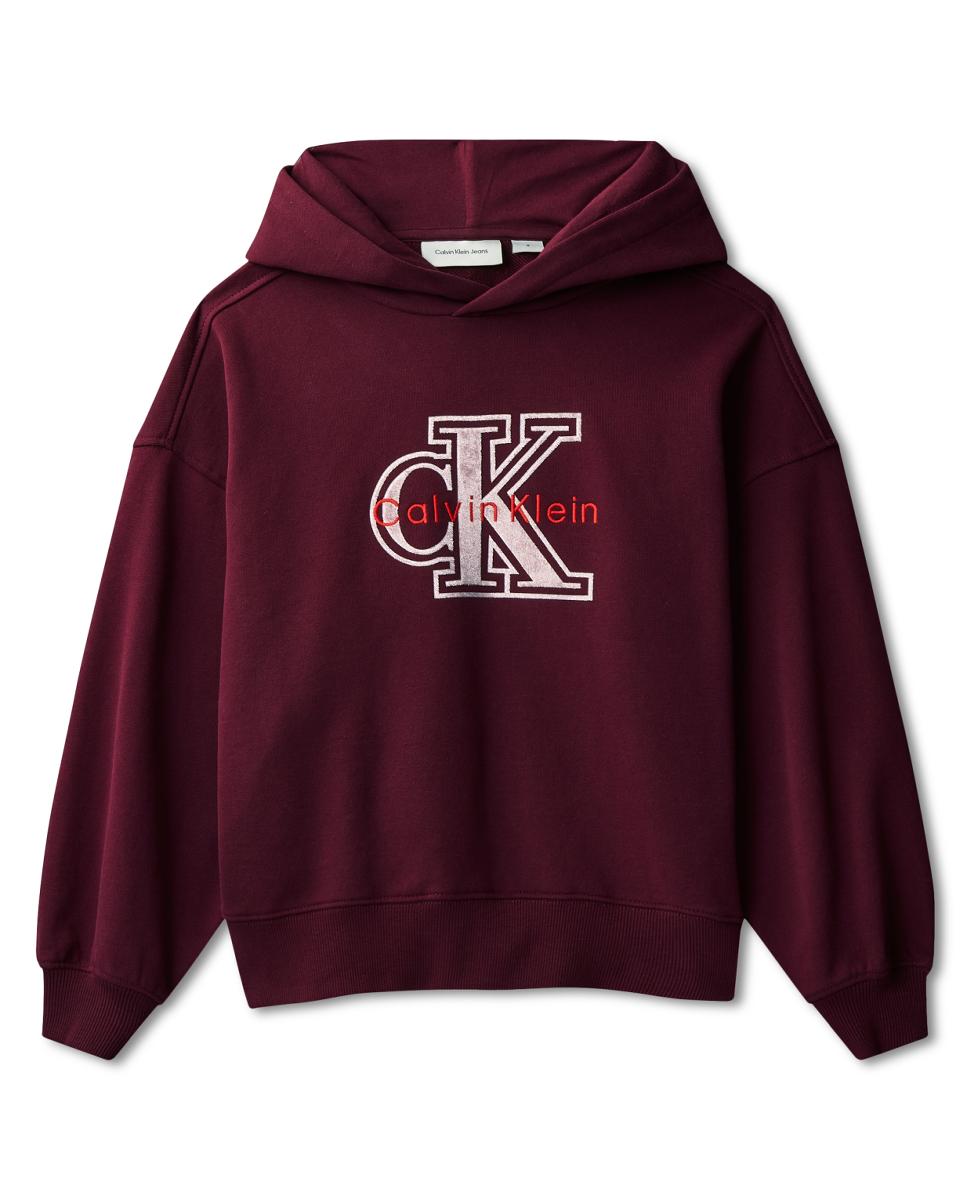 Sweatshirt com capuz Roxo-6