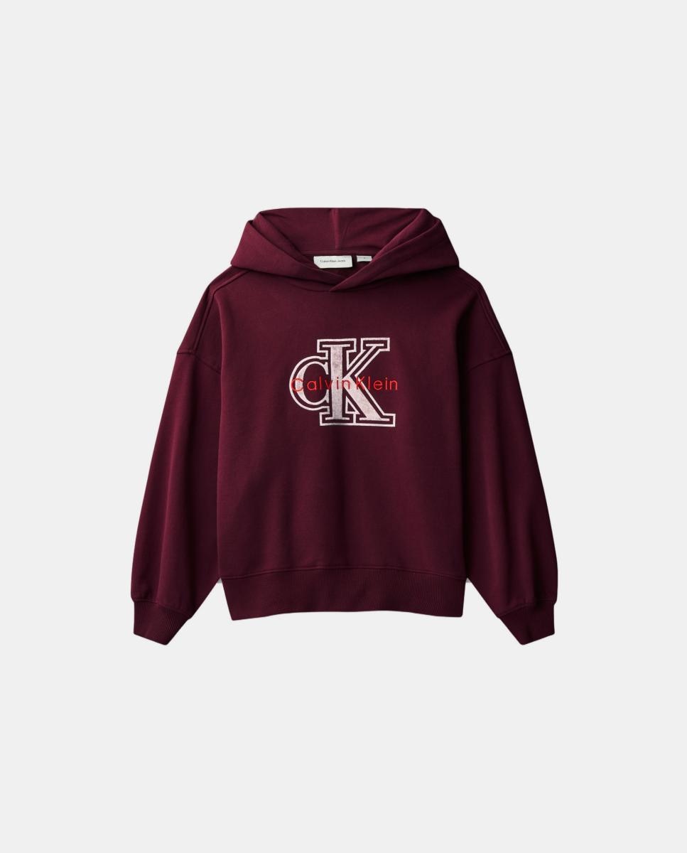 Sweatshirt com capuz Roxo-7
